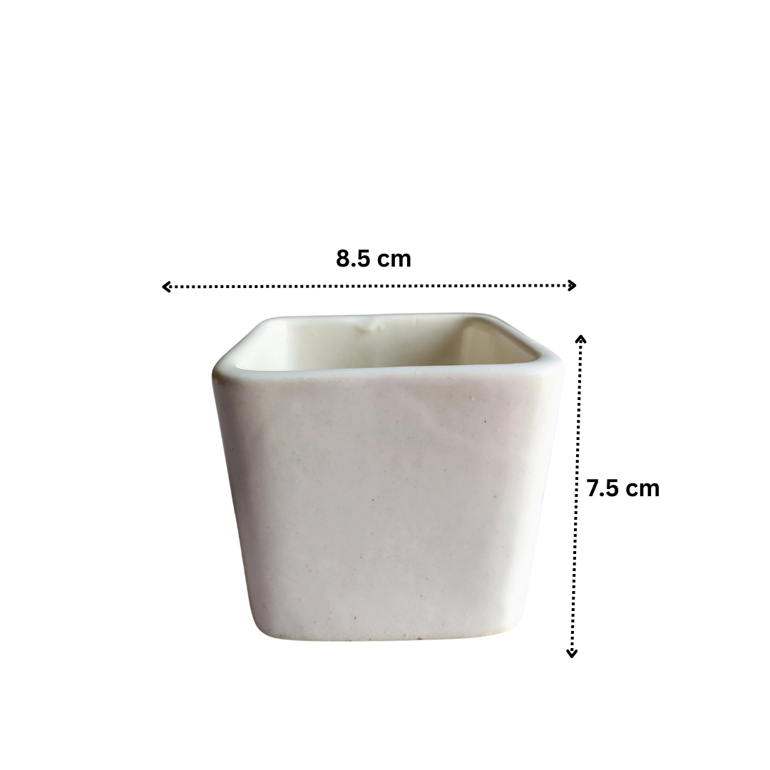 Plain white square ceramic pot