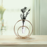 Double Metallic Ring Test Tube Glass Vase - Gardengram