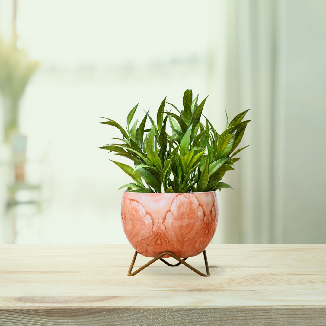 Classy metal plant pot with stand
