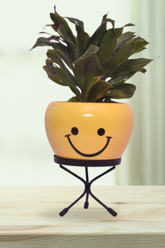 Emoji face planters for kids
