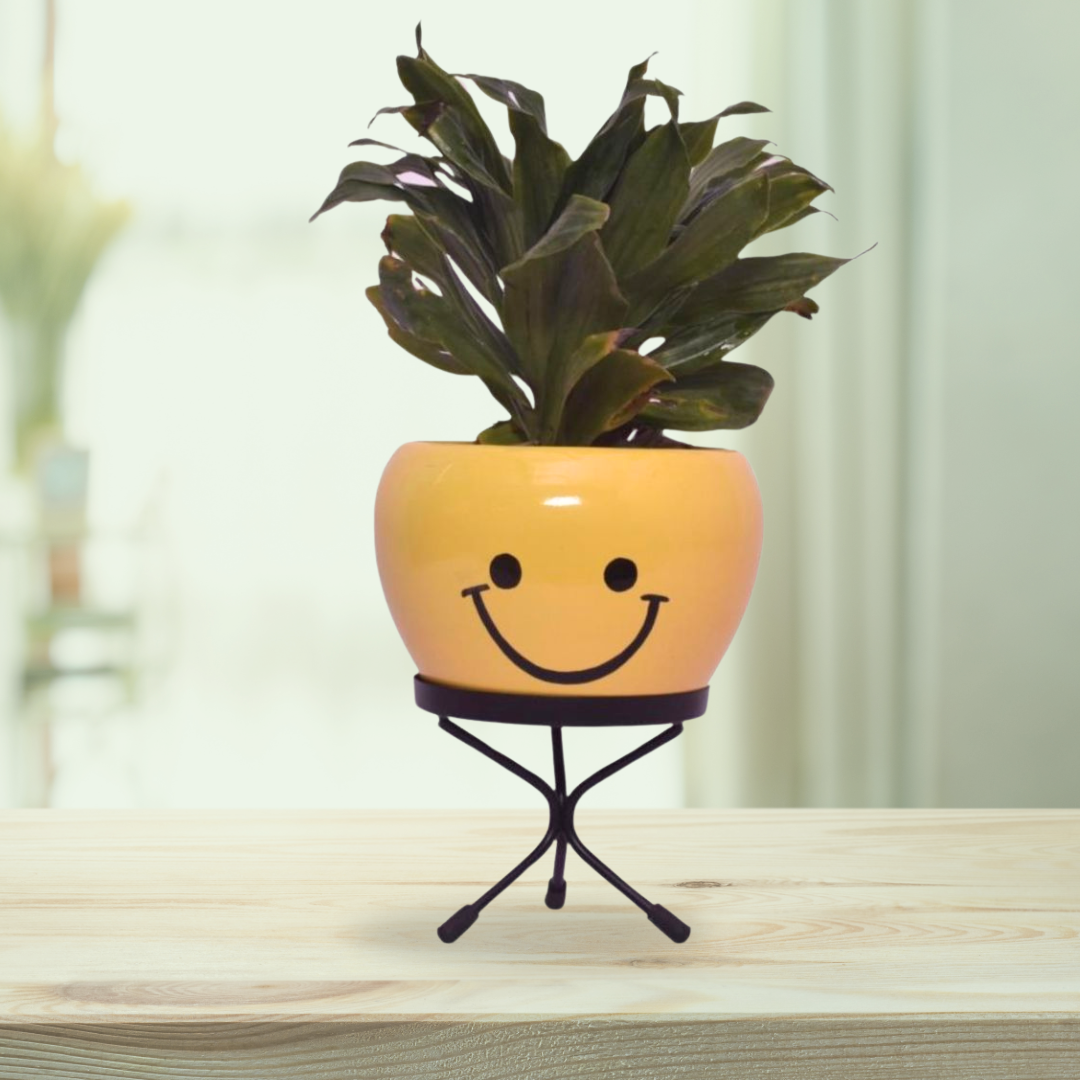 Emoji face planters for kids
