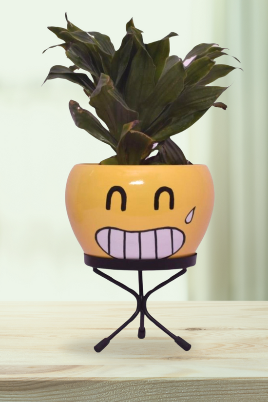 Emoji face planters for kids
