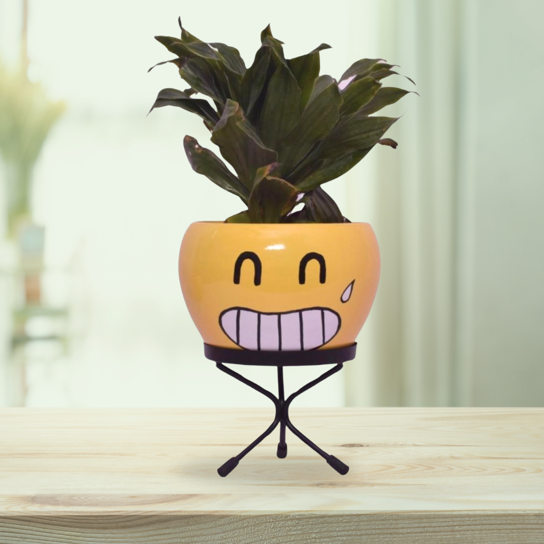 Emoji face planters for kids
