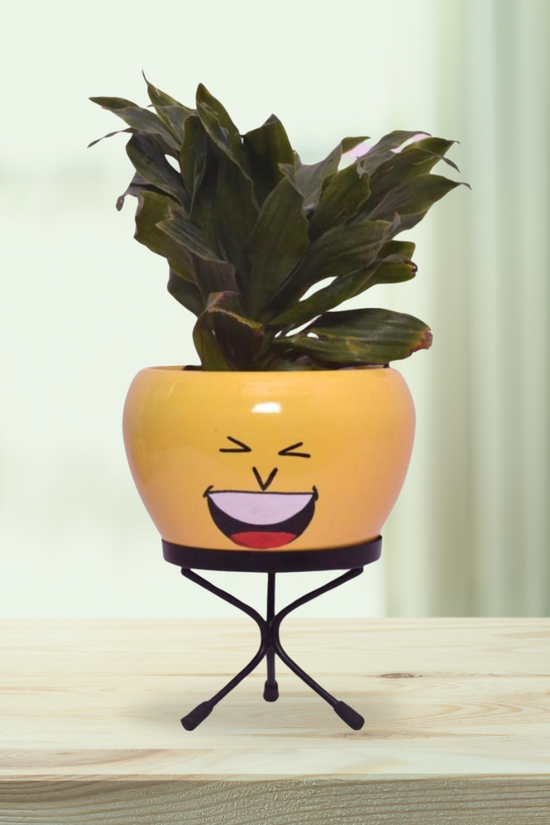 Emoji face planters for kids
