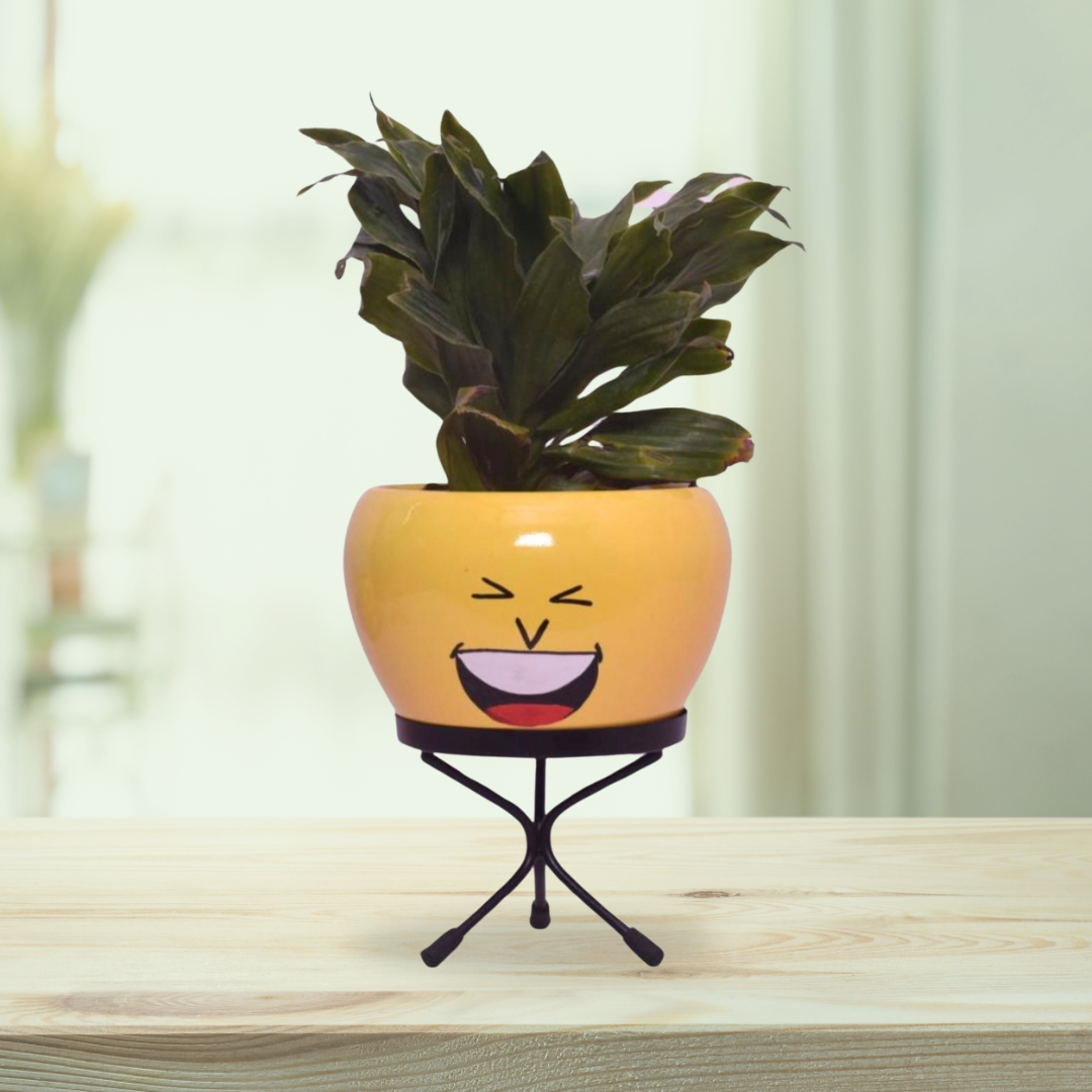 Emoji face planters for kids
