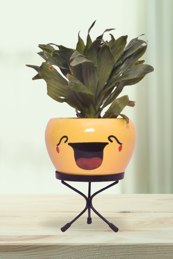 Emoji face planters for kids
