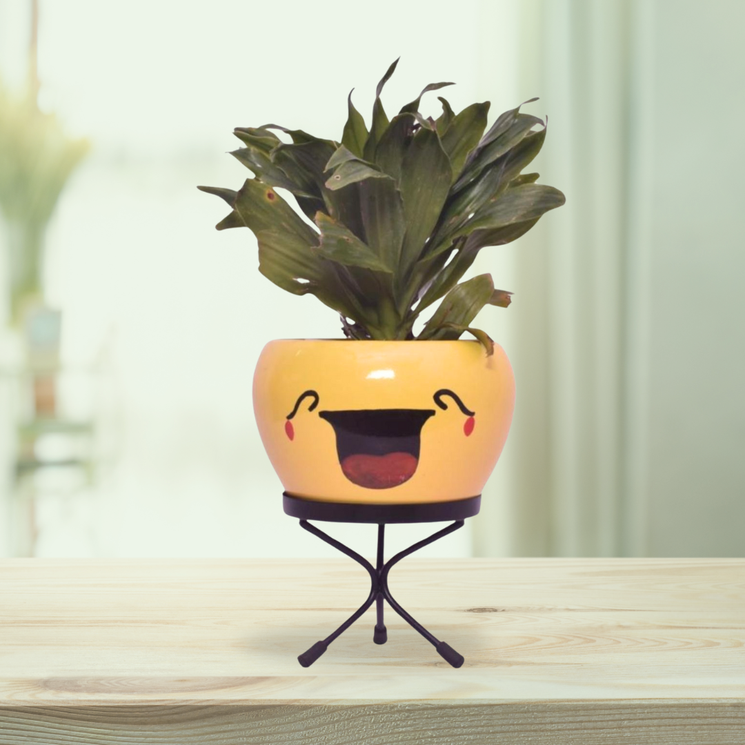 Emoji face planters for kids
