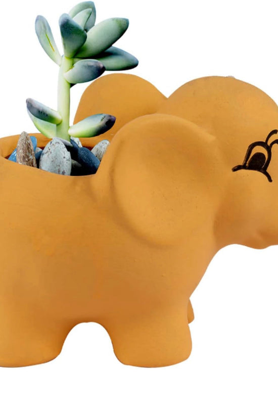 Elephant shaped ceramic pot
