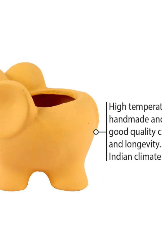 Cute Elephant Ceramic Planter