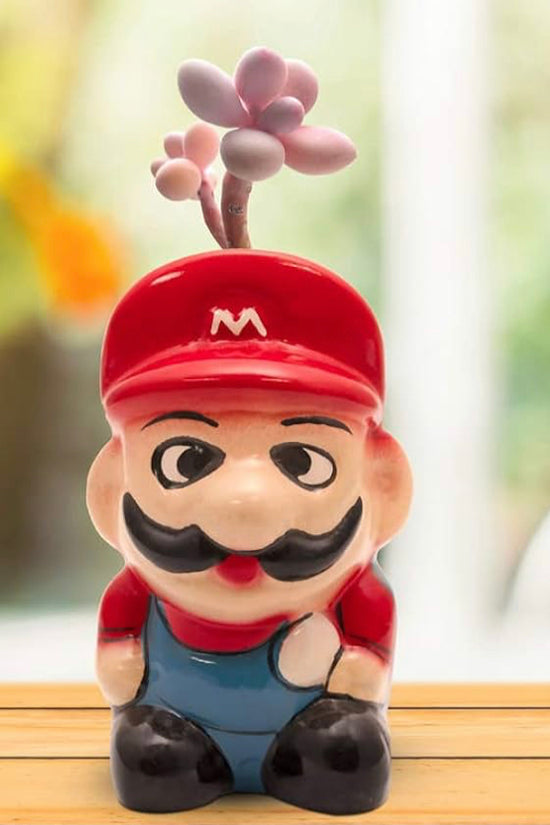 Super Mario themed planter