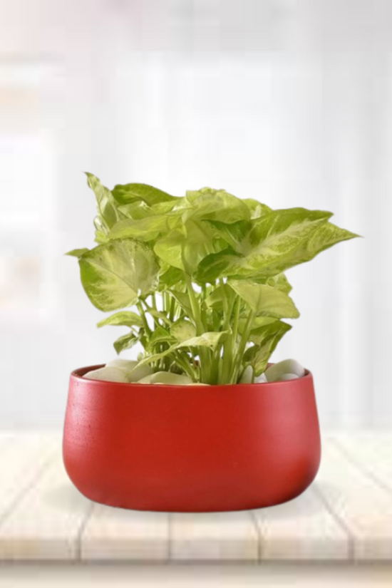 Red metallic pot for home decor
