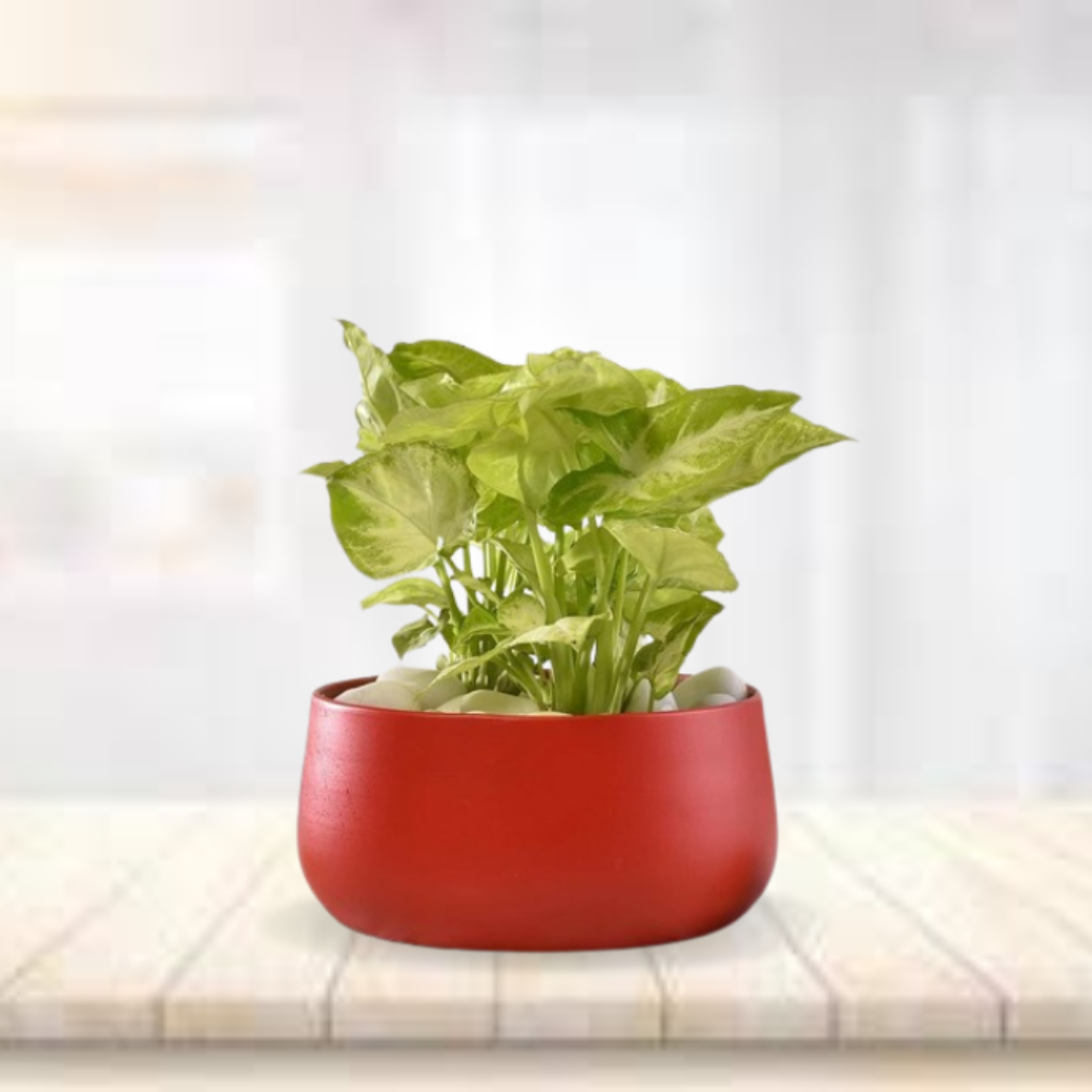 Red metallic pot for home decor
