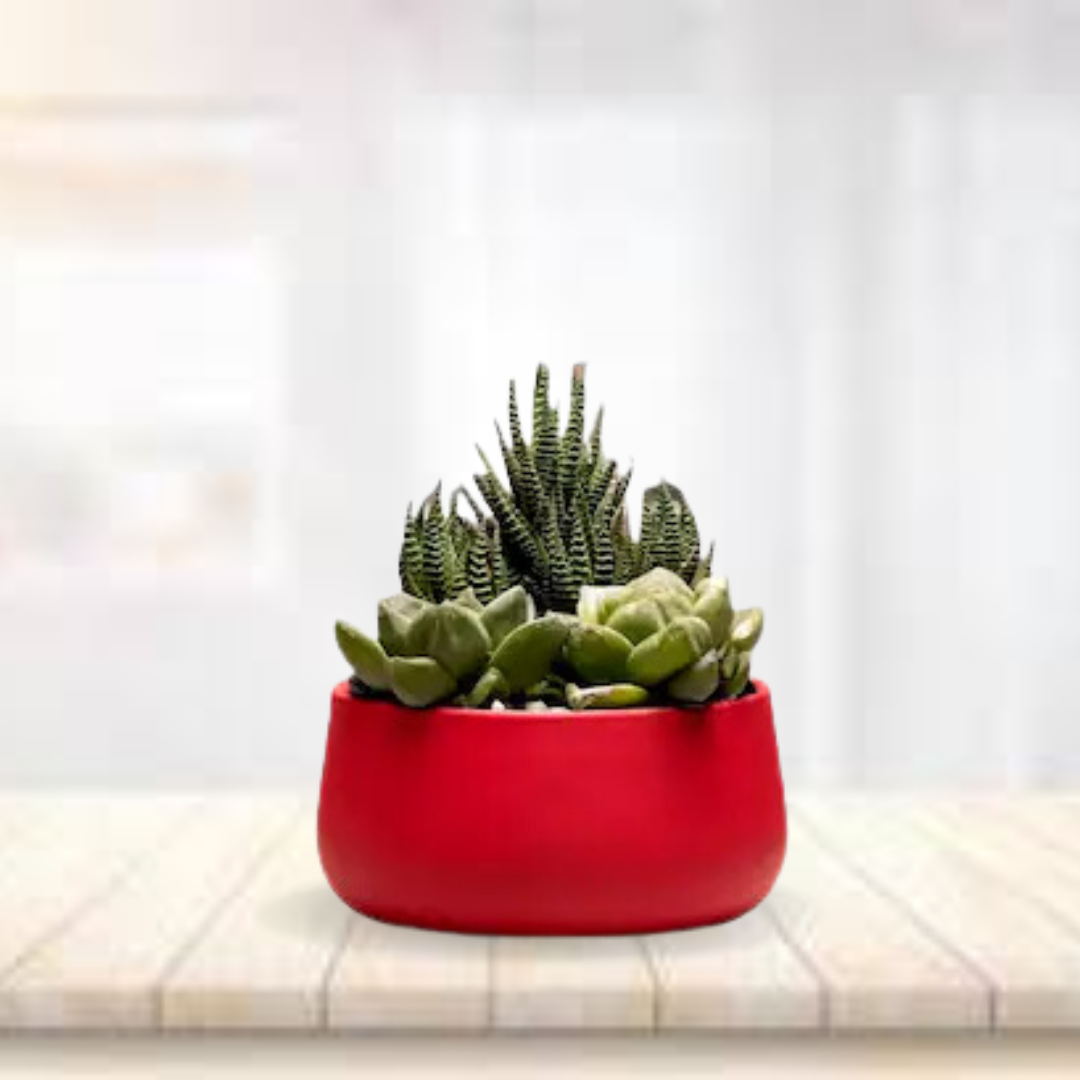 Red metallic pot for home decor
