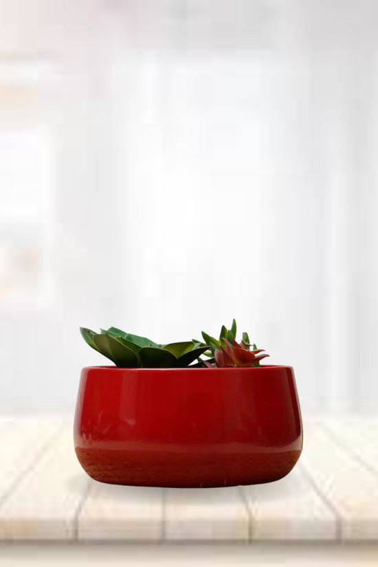 Red metallic pot for home decor
