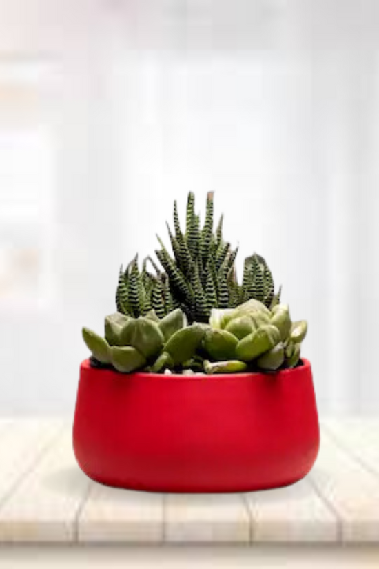 Decorative indoor metal flower pot
