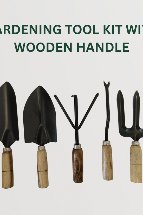 Gardening starter kit pack 