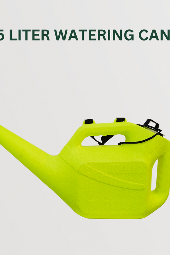 Gardening starter kit pack