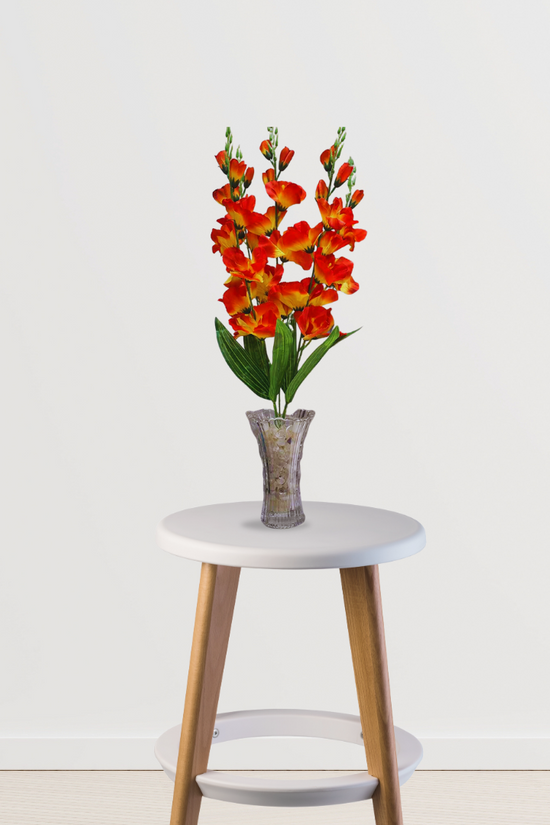 Gladiolus flower plant
