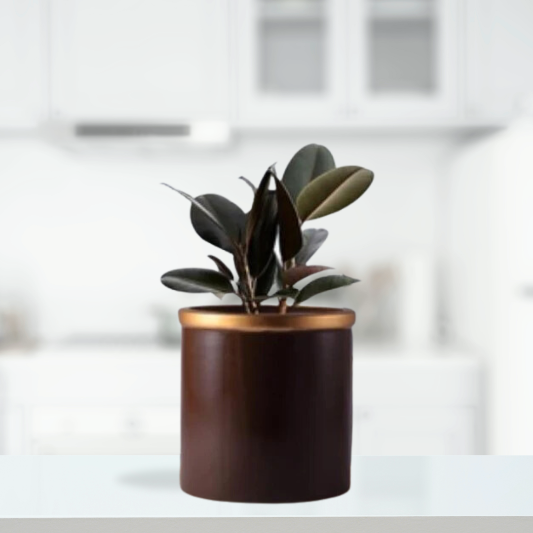Gloria golden-truffle tone ceramic pot
