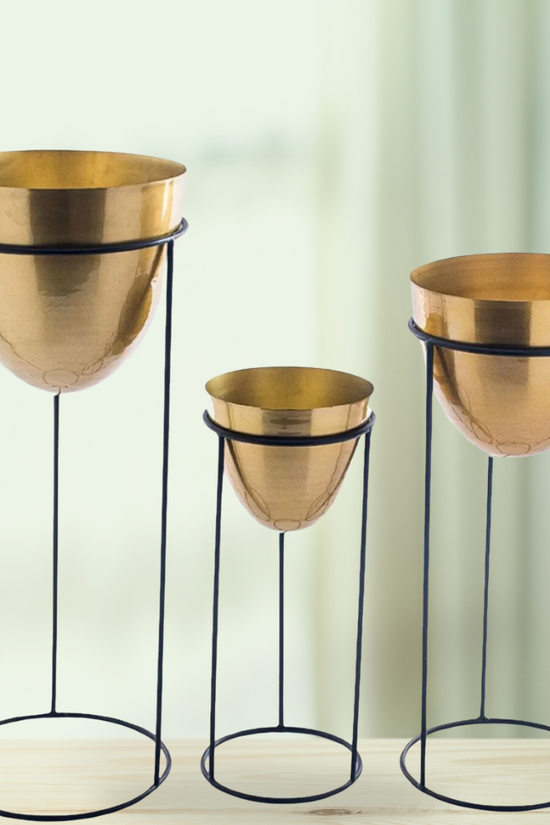 Golden indoor pot and stand combo
