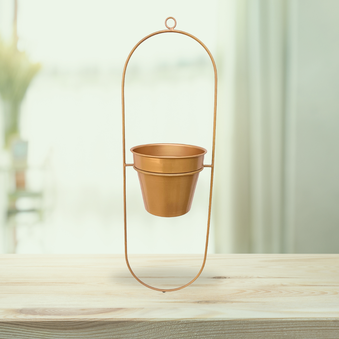 Golden planter with hanging hook

