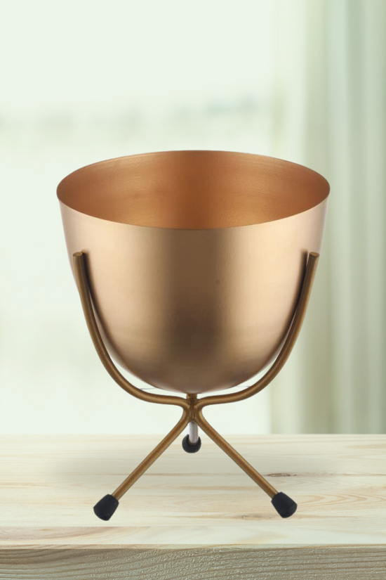 Gold finish indoor planter combo
