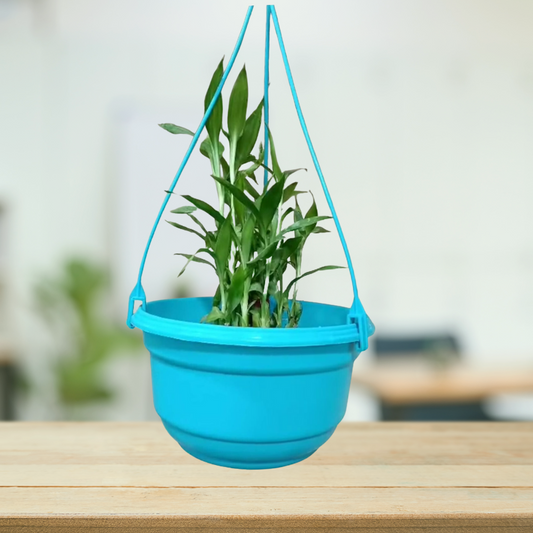 Lightweight hanging basket for plants
