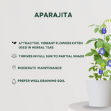 Herbal Harmony Trio Aparajita- Gardengram