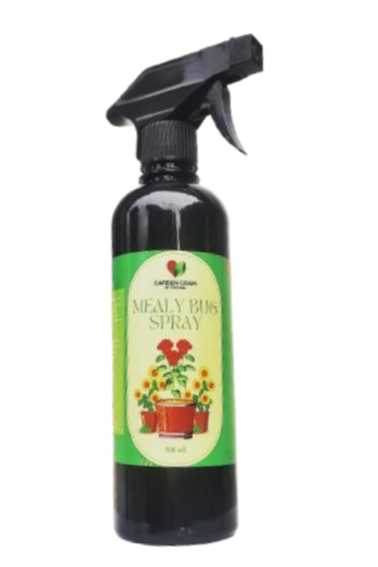 Plant protection spray - Mealy bug control