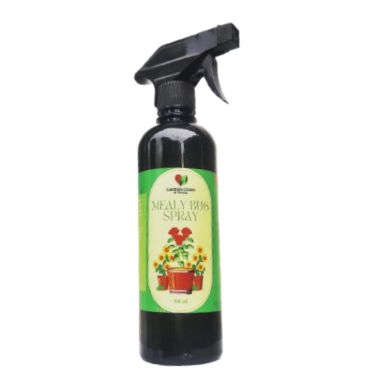 Plant protection spray - Mealy bug control