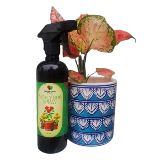 Plant protection spray - Mealy bug control