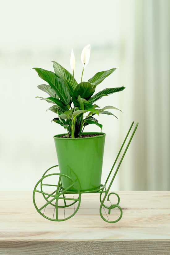 Iron pot stand with 2 wheels

