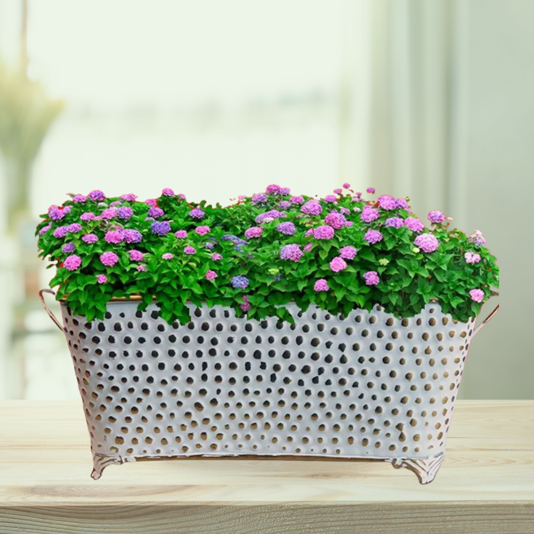 Ivory and gold rectangle plant pot
