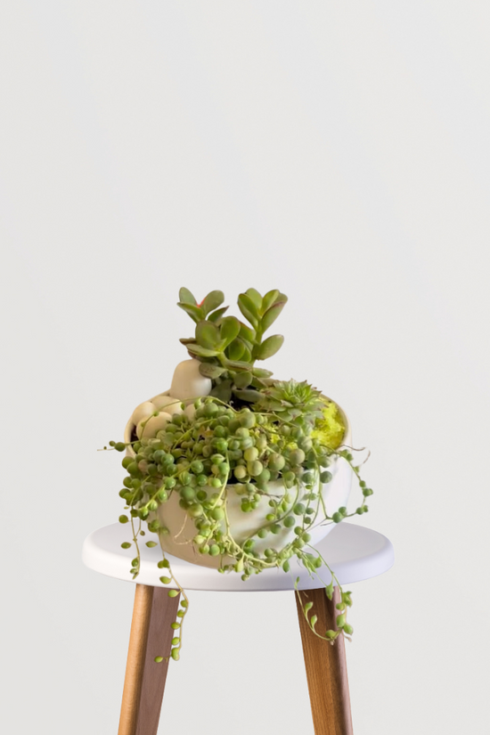 Premium garden delight gift set
