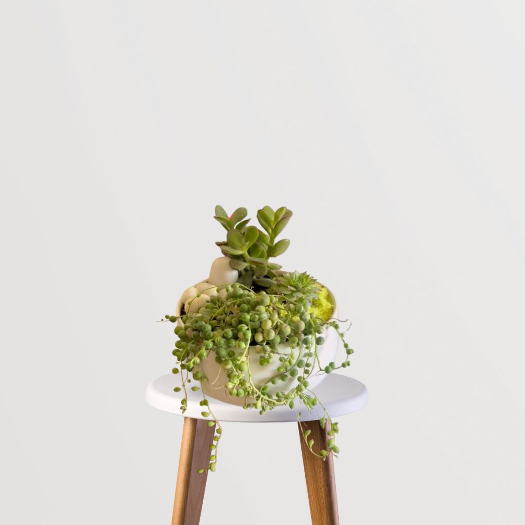 Premium garden delight gift set
