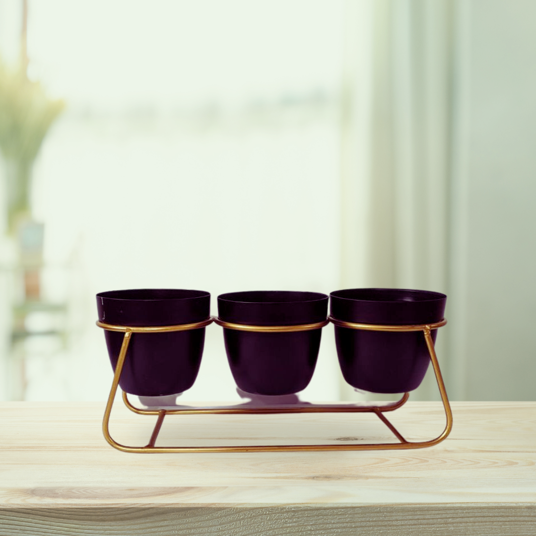 Metal tabletop plant holder
