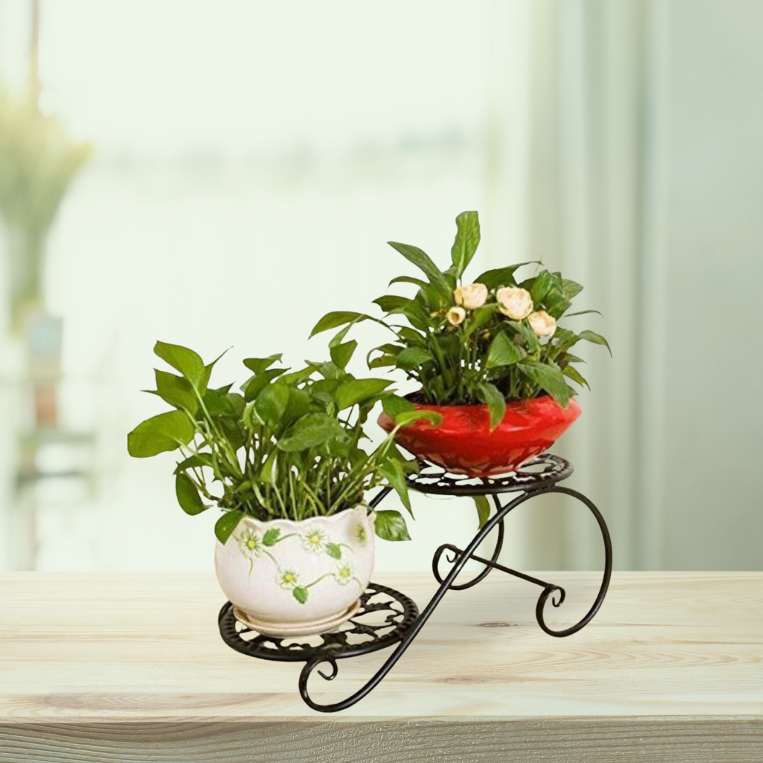 Dual pot metal stand for home garden
