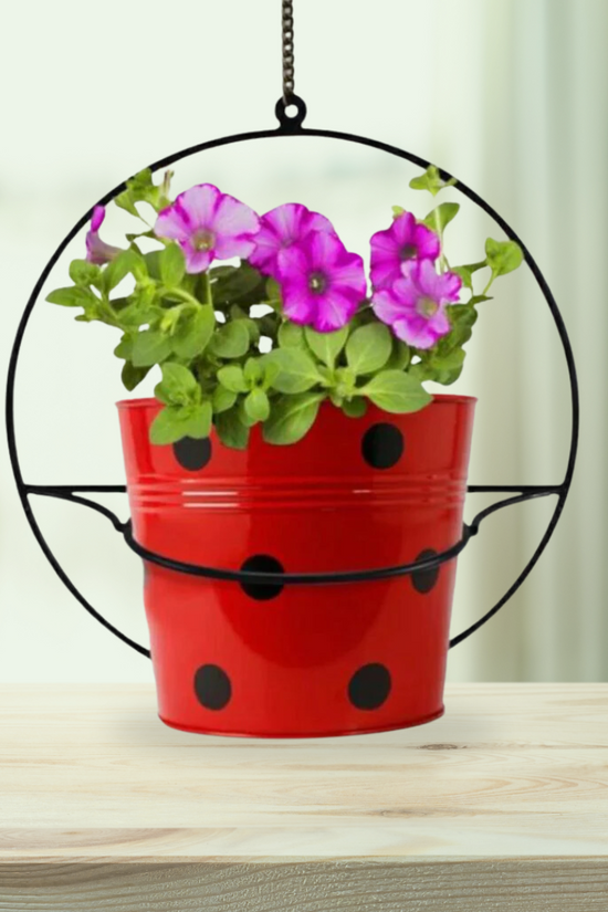 Metallic hanging pot stand with planter

