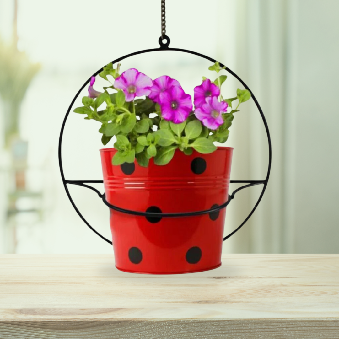 Metallic hanging pot stand with planter
