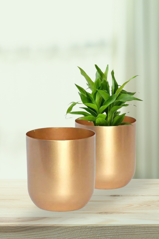 Small gold planter for shelf or table
