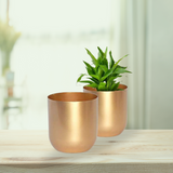 Classy Golden pot for tables | Golden metallic pot for home decor