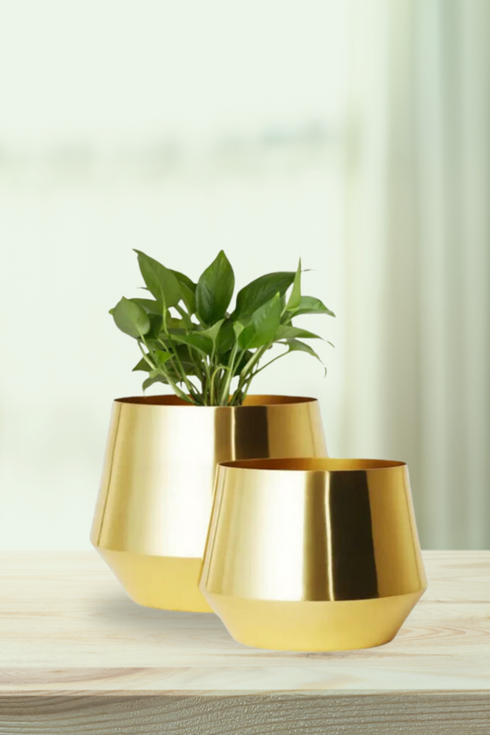 Set of 2 golden metal pots
