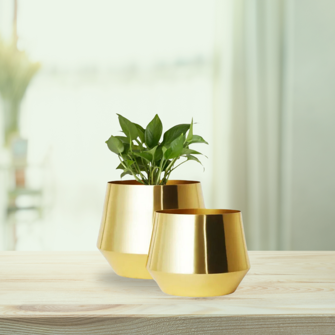 Set of 2 golden metal pots
