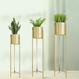 3 Pots and Stand Set Elegant Planters for Home and Office Decor | 3 Pots Set with Pot Stands - Gardengram