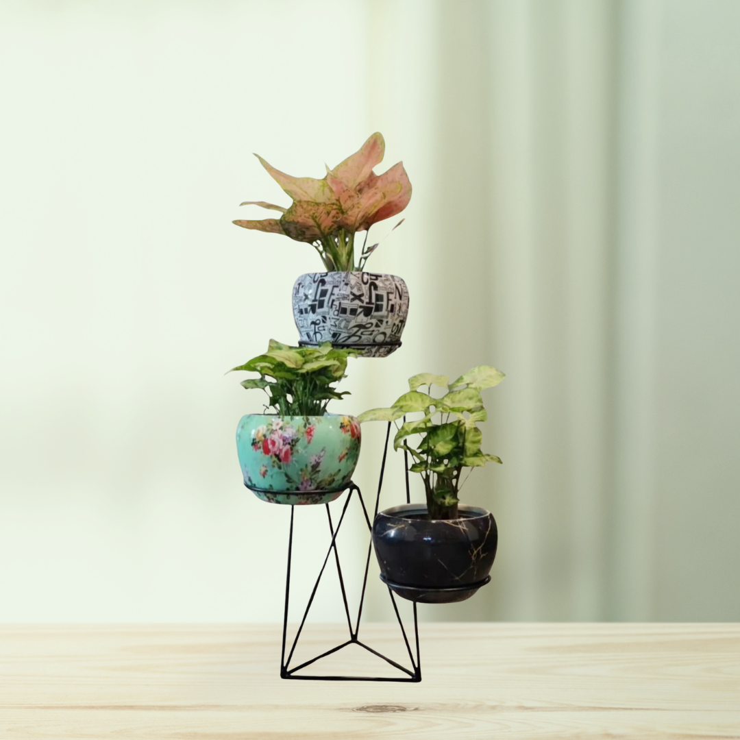 Vertical metal plant stand with pots
