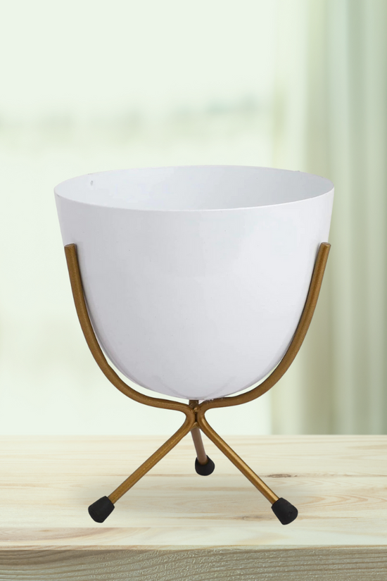 White egg pot for indoor decor
