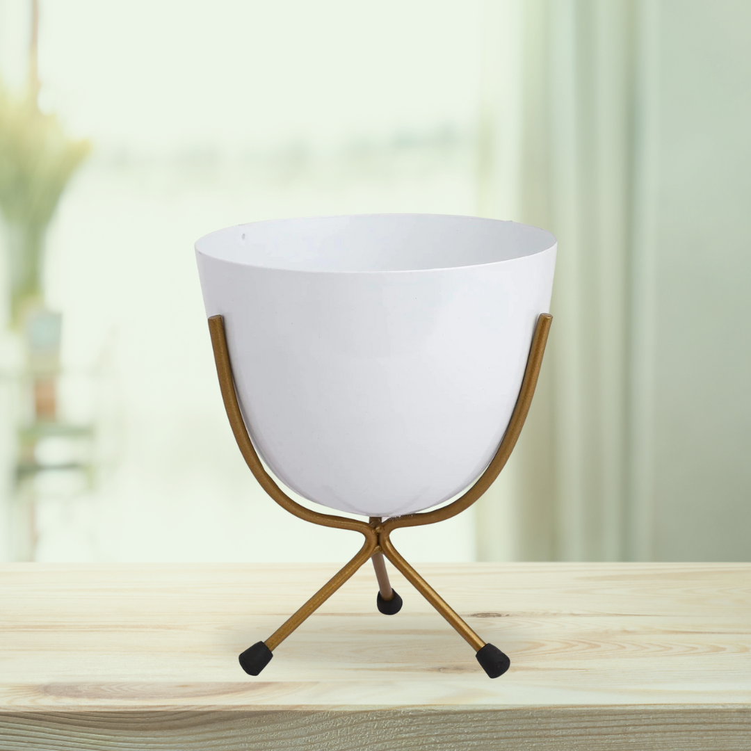 White egg pot for indoor decor
