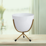 White pot with stand | Indoor plant pot with stand | Egg shaped pot with stan