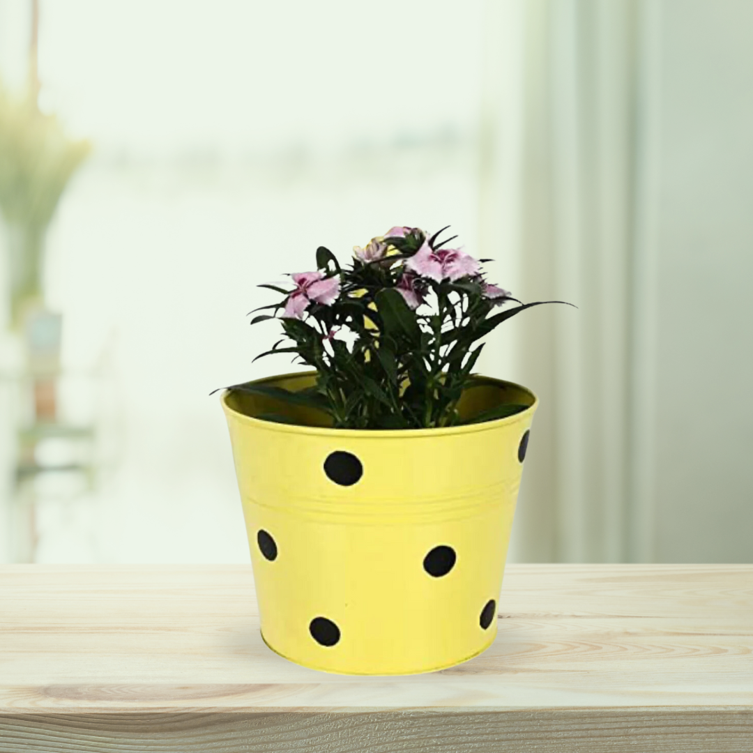 Gardengram Metallic Railing Planters | Hanging Pots | Designer Hanging Planters
