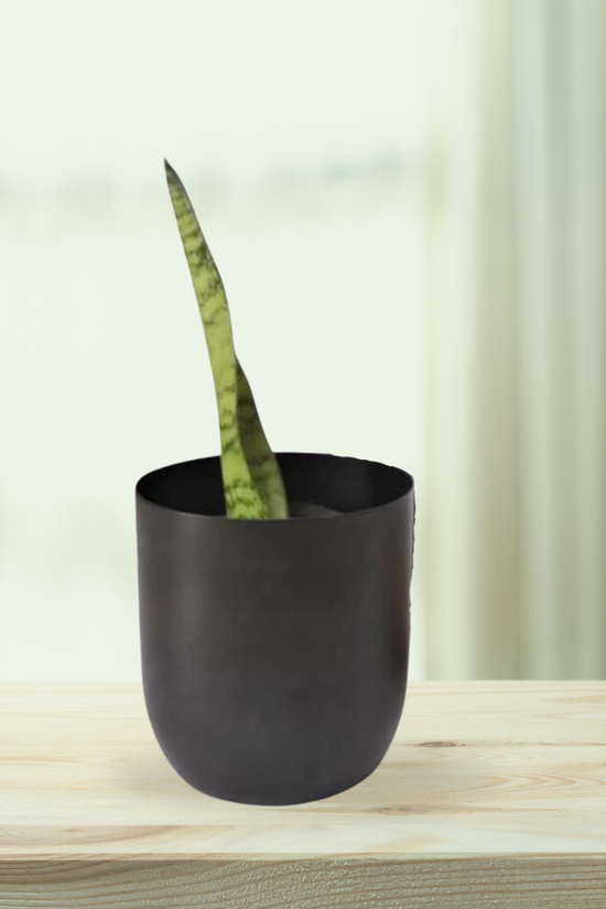 Matte black table planter
